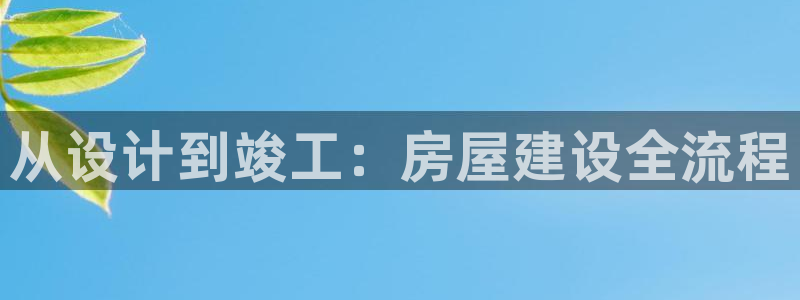 狗子28在线：从设计到竣工：房屋建设全流程